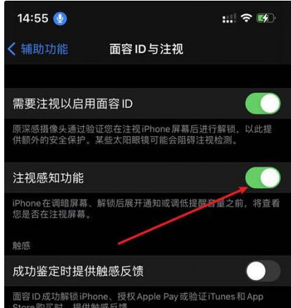 麦盖提苹果14维修网点分享iPhone14注视感知功能有什么用 